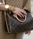 Сумка Louis Vuitton Speedy Monogram Canvas